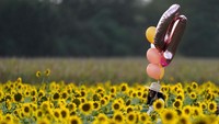 Ladang seluas 26 acre, ditanam oleh keluarga Grinter.