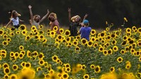 Mereka tampak berswafoto.
