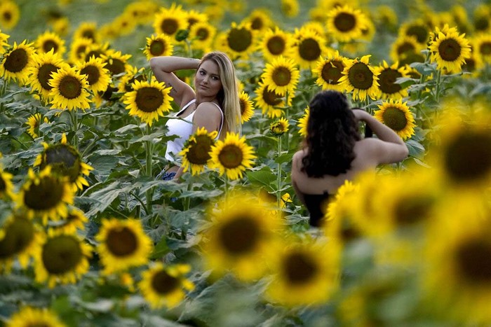 Girls pose for a photo in a sunflower field at Grinter Farms, Monday, Sept. 7, 2019, near Lawrence, Kan. The 26-acre field, planted annually by the Grinter family, draws thousands of visitors during the weeklong late summer blossoming of the flowers. (AP Photo/Charlie Riedel)
