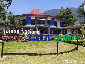 Terpisah dari Rombongan, Seorang Pemburu Hilang di Gunung Gede