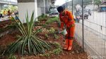 Taman Pilar Jati Bikin Kolong Tol Becakayu Makin Cantik