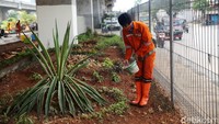 Tanaman hias juga akan membuat area kolong tol menjadi asri.