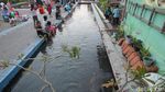 Wisata Alternatif di Yogya Ini Pamerkan Ribuan Ikan Nila dan Koi