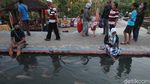 Wisata Alternatif di Yogya Ini Pamerkan Ribuan Ikan Nila dan Koi