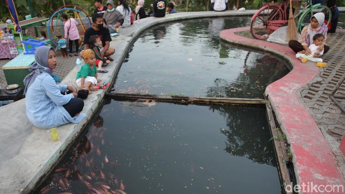 Wisata Alternatif di Yogya Ini Pamerkan Ribuan Ikan Nila dan Koi Kebutuhan warga mencari tempat wisata alternatif meningkat di masa Pandemi. Salah satunya di Bendung Lepen Sungai Gajah Wong. Penasaran?