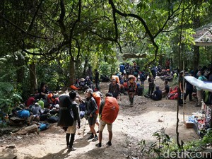 Sempat Ramai Pendaki, Ini Isi Surat Penutupan Gunung Gede Pangrango