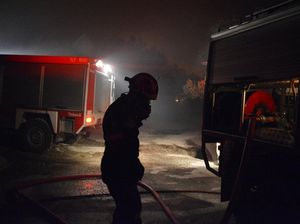 Yunani Kebut Pembangunan Kamp Migran yang Terbakar di Pulau Lesbos