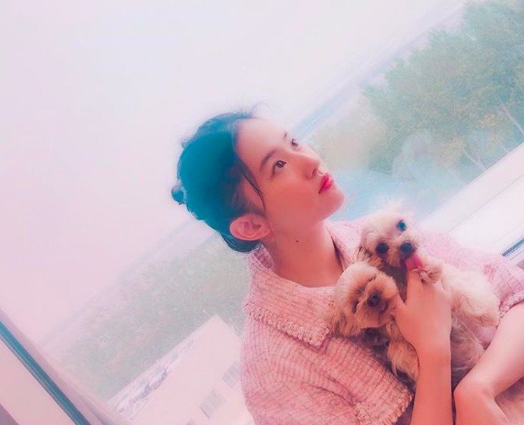 Liu Yifei diprotes Liu Yifei diprotes