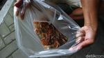 Melihat Budidaya Ikan Nila di Surakarta