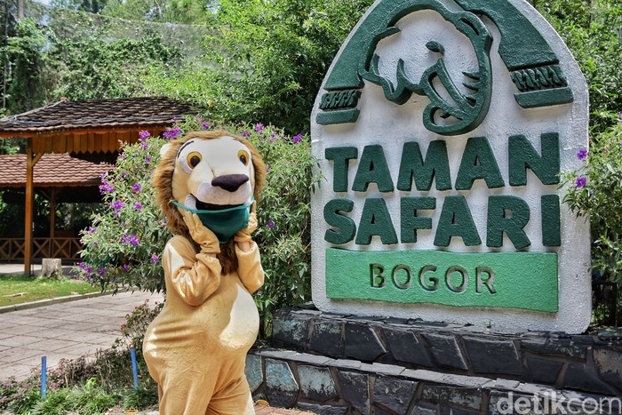 new normal di Taman safari