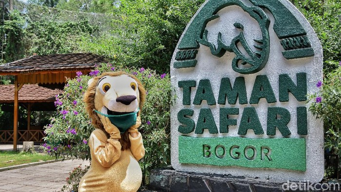 new normal di Taman safari