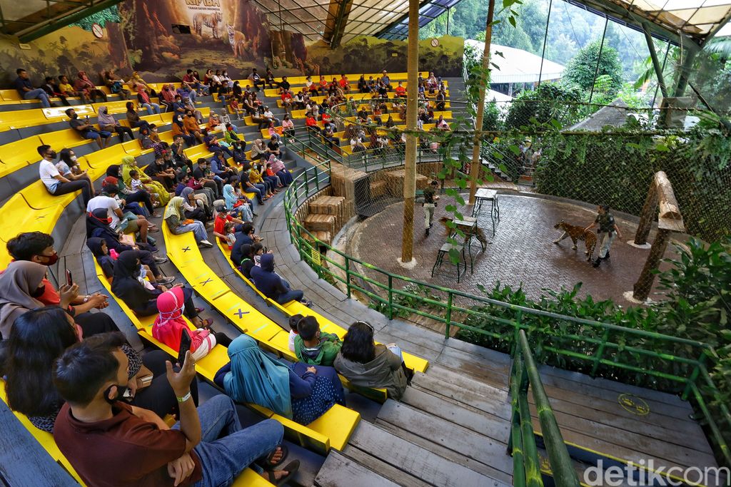 new normal di Taman safari