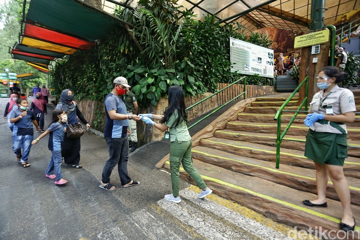 new normal di Taman safari