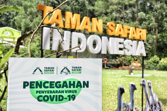 new normal di Taman safari