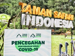 Mengintip Taman Safari di Era New Normal