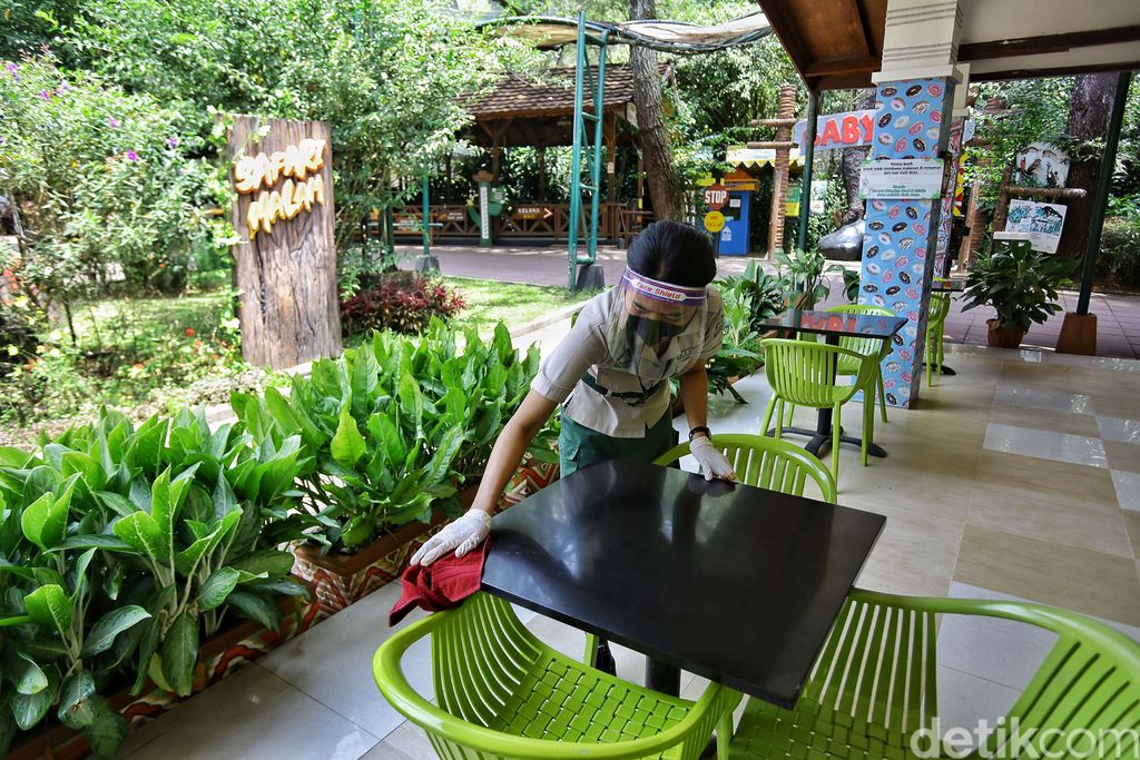 new normal di Taman safari
