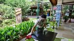 Potret Wisata New Normal di Taman Safari