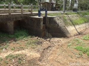 Situ Cigangsa Mengering, Ratusan Hektar Sawah Terancam Kekeringan
