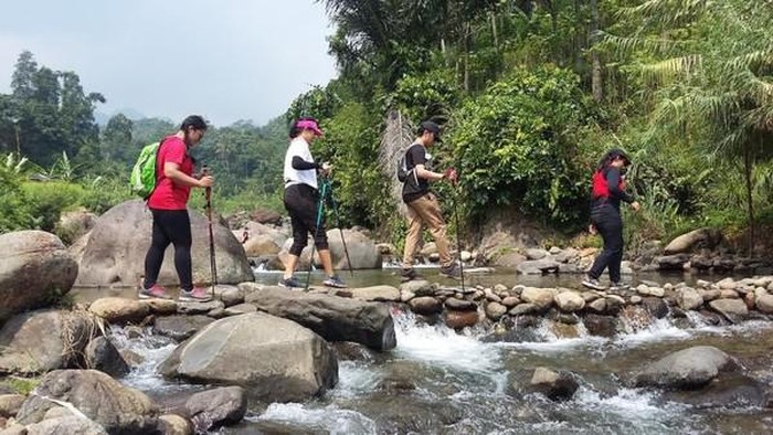 Sentul
