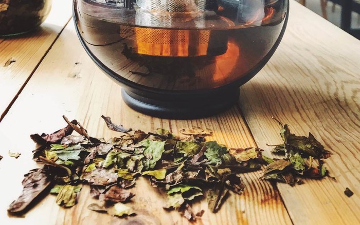 Teh daun kopi Teh daun kopi
