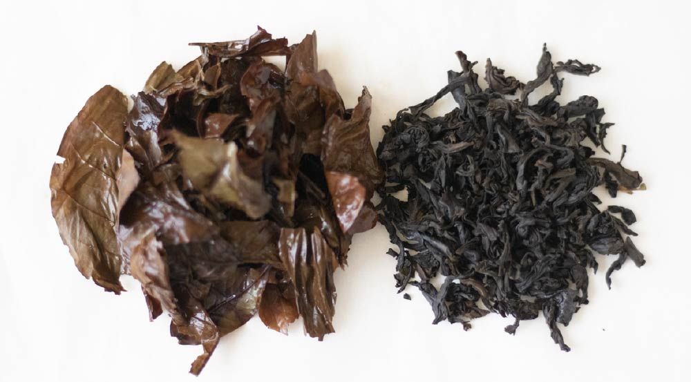 Teh daun kopi