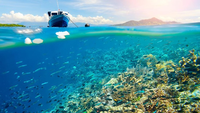 bunaken