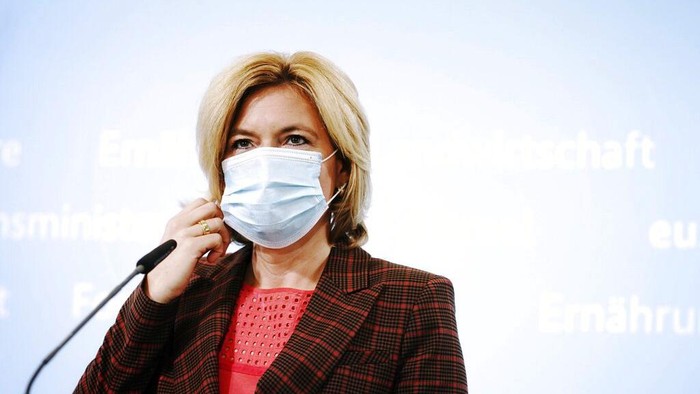 Jerman mengonfirmasi kasus pertama flu babi Afrika pada Kamis (10/9) waktu setempat. Diketahui, flu babi Afrika sempat mewabah di Asia pada tahun 2018-2019.