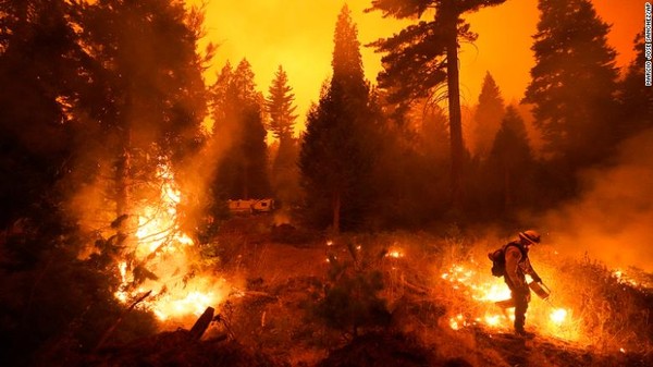 Kebakaran Creek sendiri telah menghanguskan sekitar 18 ribu hektar lahan dan disebut sebagai salah satu kebakaran hutan terbesar. Kebakaran ini pertama kali muncul pada Jumat (4/9/2020) di area yang curam dan terjal. 