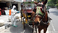 Delman yang biasa digunakan sebagai transportasi wisatawan disemprot disinfektan.