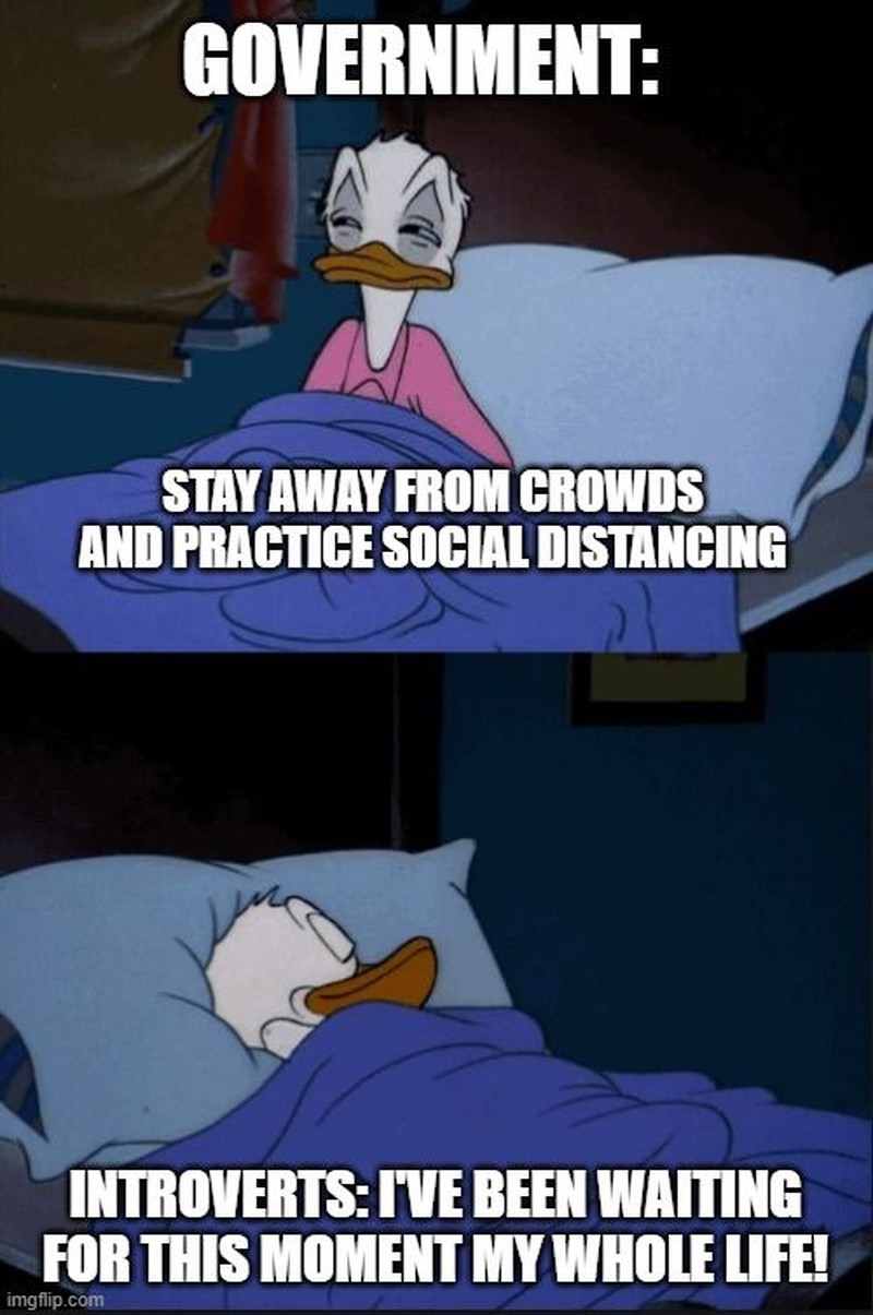 DKI Jakarta akan memberlakukan PSBB lagi dalam waktu dekat. Meme ini mungkin bisa membuat kamu sedikit terhibur dan terbebas dari realita yang ada.