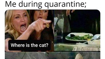Si kucing sampai sakit. Padahal meme kucing paling menghibur. Foto: MemeZila