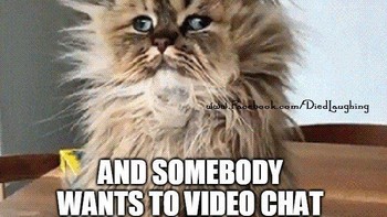 Dan bersiaplah, nampaknya kegiatan video call untuk meeting jadi hal yang normal pasca pandemi. Foto: Parade