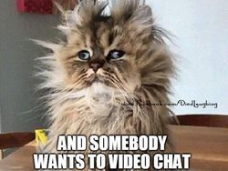 Meme yang Bikin Senyum Saat Pusing Mau PSBB Lagi