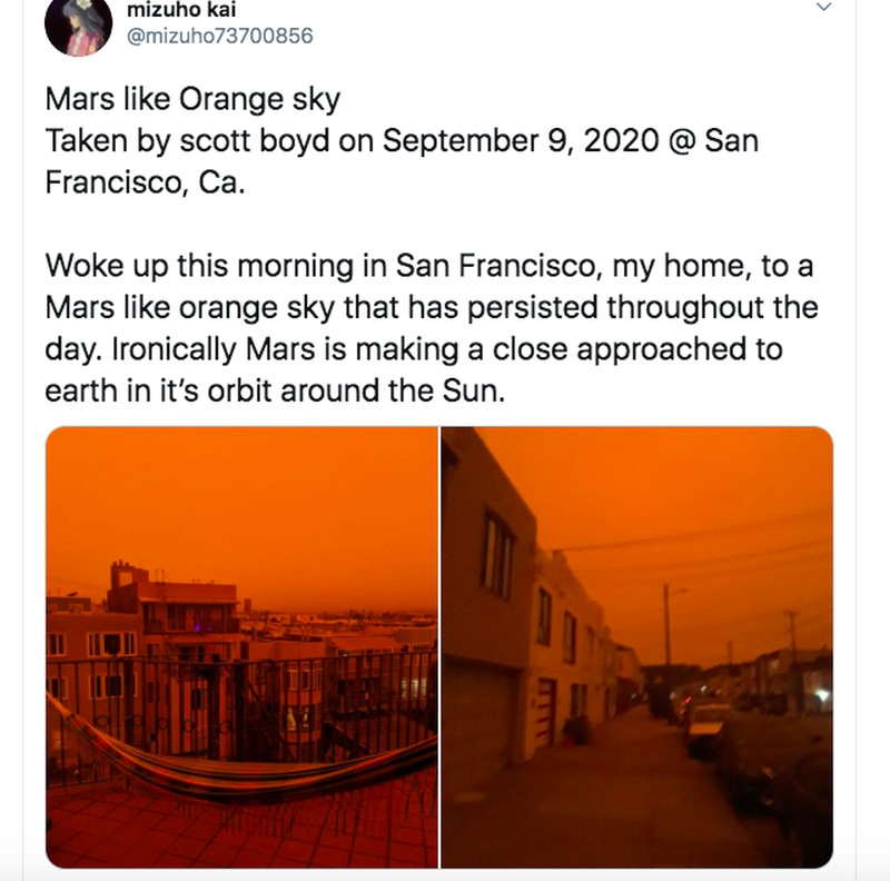 Netizen langit california