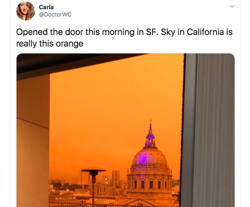 Netizen langit california