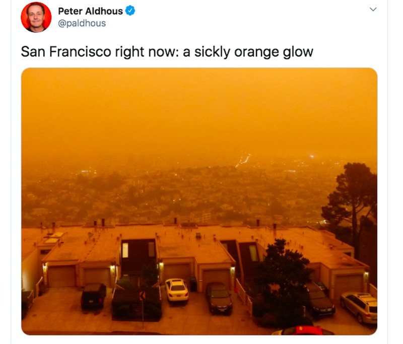 Netizen langit california