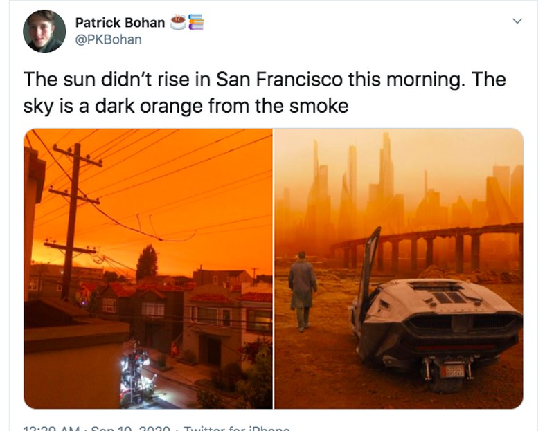 Netizen langit california