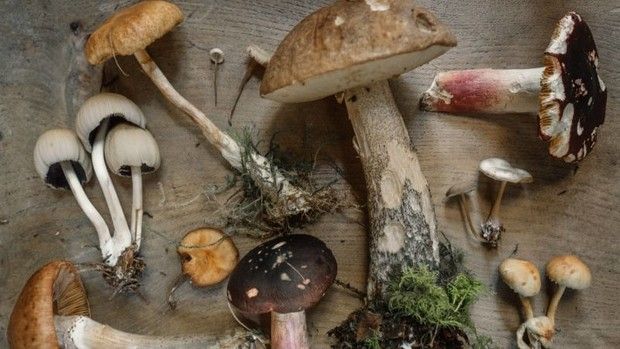 Perlakuan jahat mertua ke menantu soal makanan