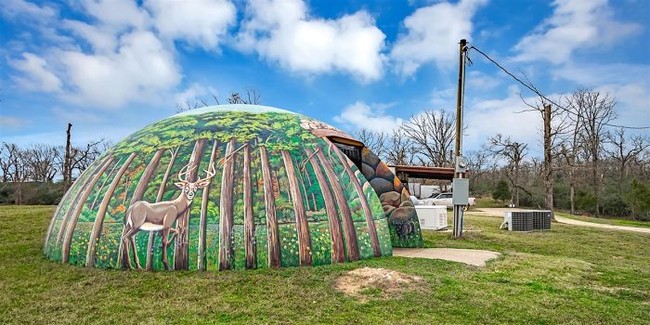 Rumah unik bawah tanah ini terletak di Buffalo, Texas, Amerika. Jika kamu lihat bagian luarnya saja sudah menarik, maka kamu kamu akan lebih terkejut ketika melihat bagian dalamnya. Foto: dok. Terri Alexander/realtor.com