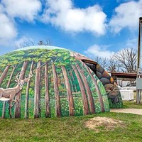 Rumah unik bawah tanah ini terletak di Buffalo, Texas, Amerika. Jika kamu lihat bagian luarnya saja sudah menarik, maka kamu kamu akan lebih terkejut ketika melihat bagian dalamnya. Foto: dok. Terri Alexander/realtor.com