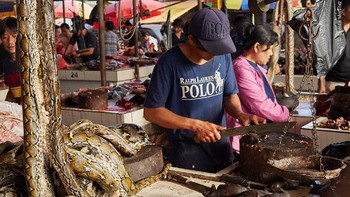 Pasar hewan liar di mana daging kelelawar sampai ular dijual. (Natural History Museum/Quentin Martinez)