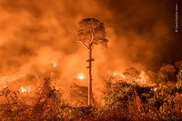 Wilidlife Photographer of the Year 2020