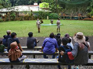 Cerita Suka Duka Para Keeper Hewan di Taman Safari Bogor