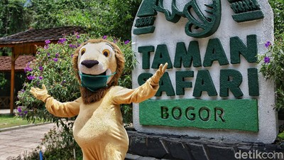 Berlibur di Taman Safari Bogor Saat Era New Normal