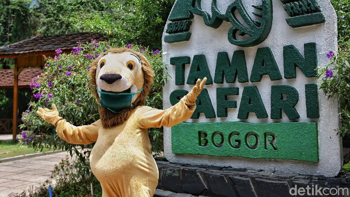 Taman Safari Indonesia telah membuka gerbangnya untuk wisatawan semenjak akhir Juni lalu. Wisatawan mulai ramai dan protokol kesehatan diterapkan di beragam titik.