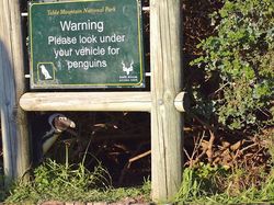 Foto Lucu Hewan dalam Comedy Wildlife Photography Awards