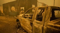 Hingga kini Oregon terus berjuang untuk mengatasi kebakaran hutan yang menyebar cepat sejak akhir pekan lalu. Andy Nelson/The Register-Guard via AP.