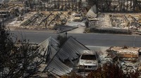 Kebakaran yang melanda hutan di Oregon diakibatkan oleh gelombang panas diikuti angin kencang dan kering. AP Photo/Paula Bronstein.