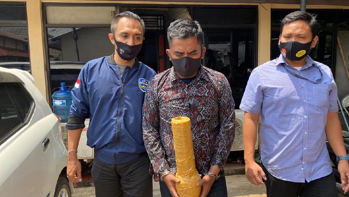Dit Siber Bareskrim ungkap kasus penipuan jual beli tanaman hias