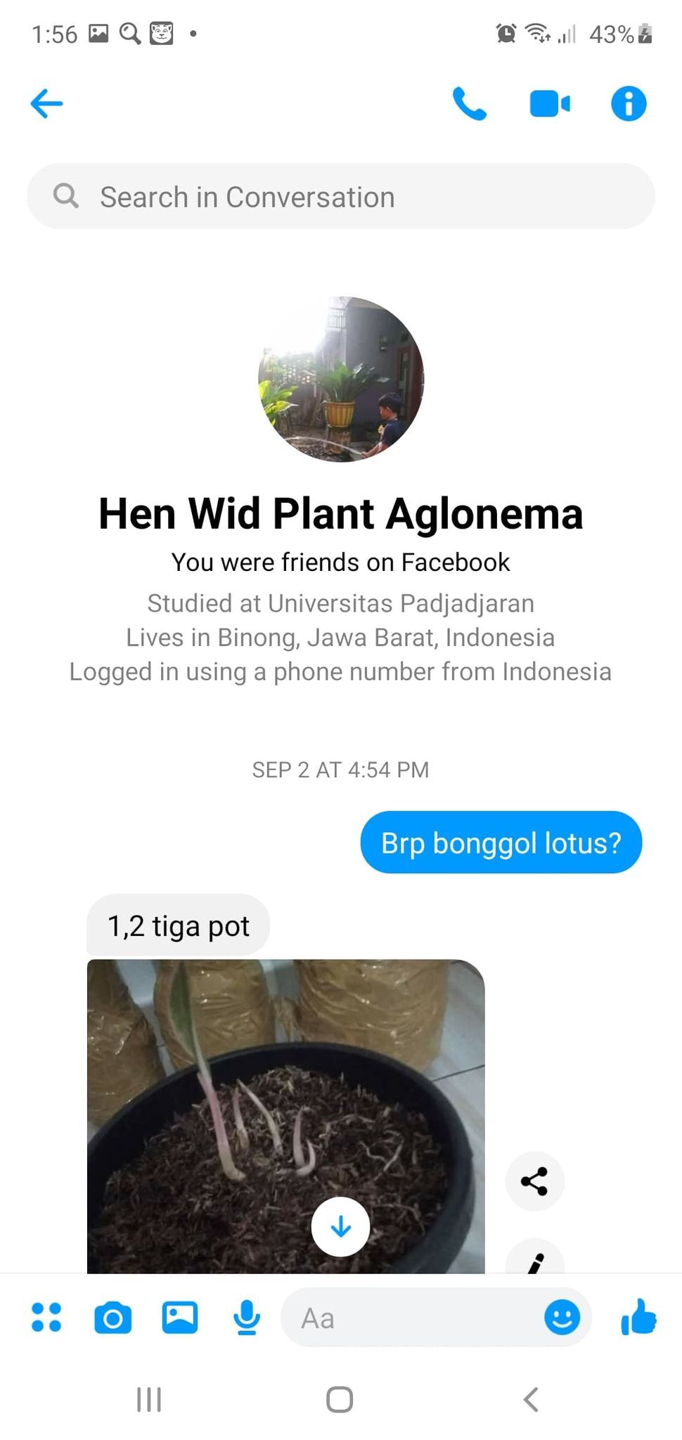 Dit Siber Bareskrim ungkap kasus penipuan jual beli tanaman hias